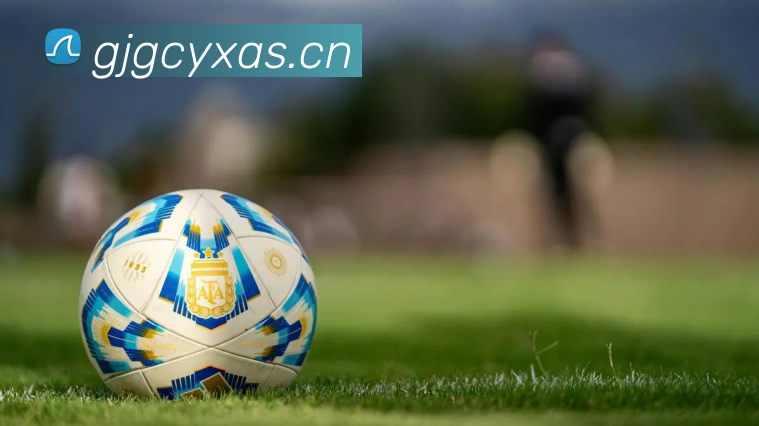 星空体育官方在线登录发展历程